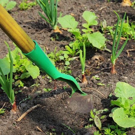 How to Get Rid of Weeds From the Flower Beds - gardensandsuch.com