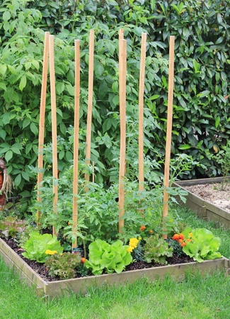 Preparing Soil for a Vegetable Garden